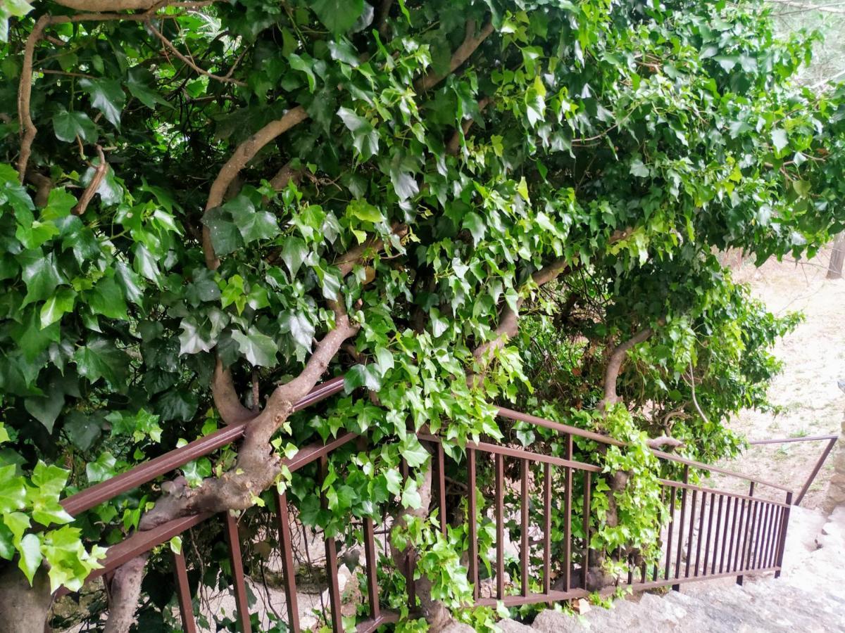 Casa Rural El Molino Gavilanes エクステリア 写真